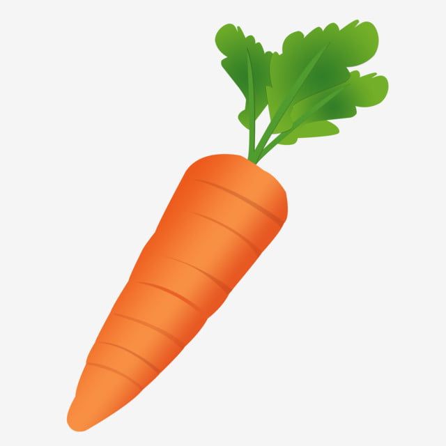 an orange carrot with green leaves on top