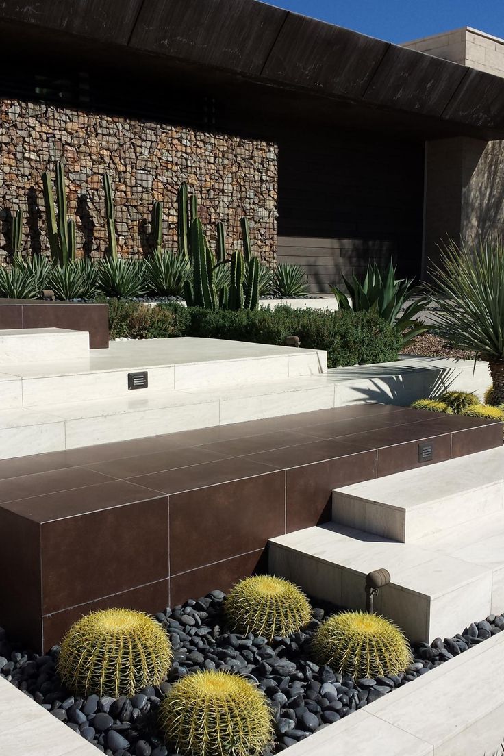 some cactus plants and rocks in front of a modern building with stone steps leading up to it