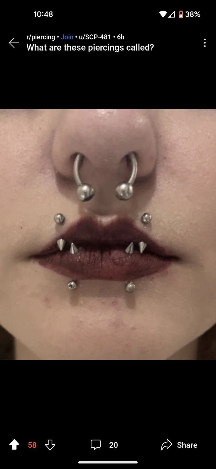 a woman's nose with piercings attached to her lip and the words, what are these piercings called?