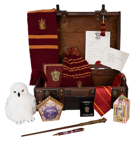 harry potter's trunk with accessories including an owl