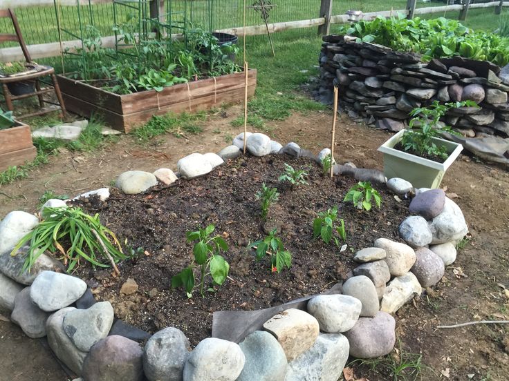 a garden filled with lots of different types of plants and rocks in the middle of it