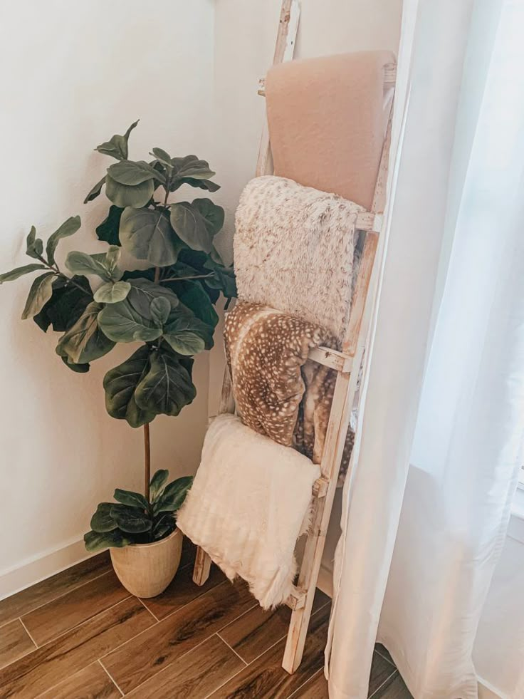 a chair next to a potted plant on the floor