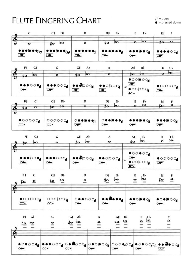 sheet music with the words flute fingering chart