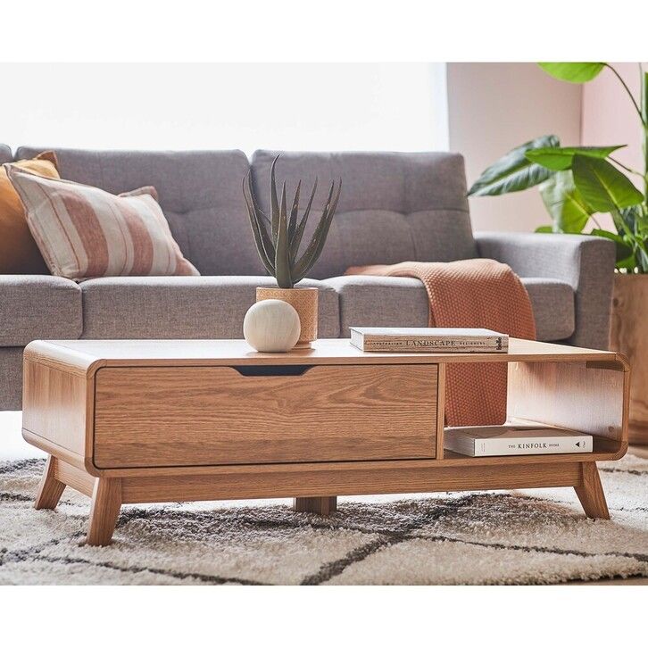 a living room with a couch, coffee table and plant