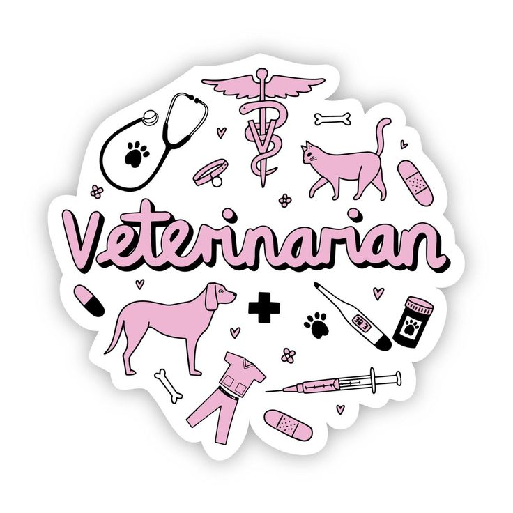 a sticker with the words veterinaian written in pink and surrounded by medical icons