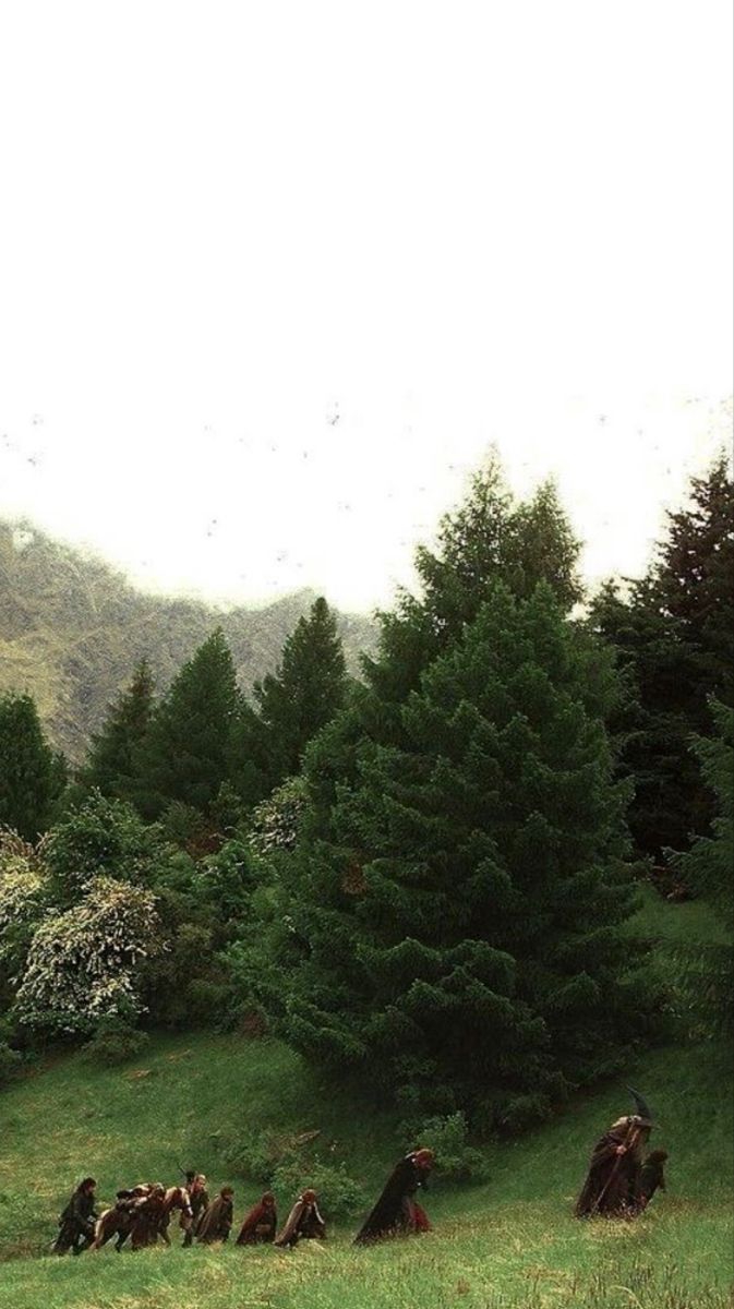 a group of people riding horses through a lush green forest filled with tall pine trees