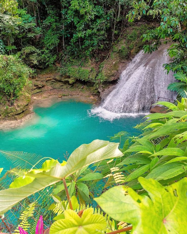 a large waterfall in the middle of a forest filled with trees and water surrounded by greenery