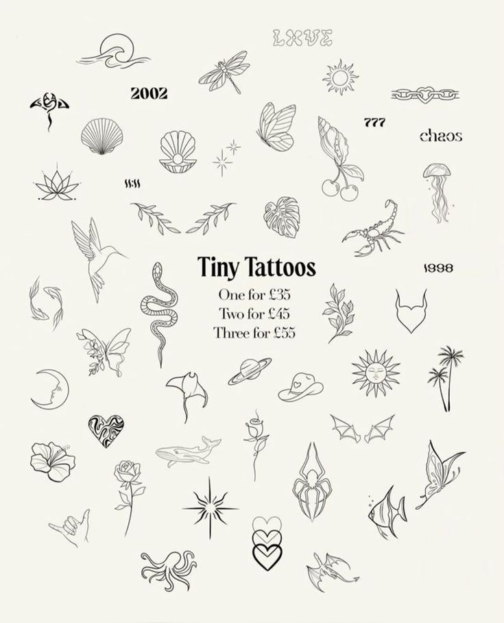 the cover of tiny tattoos one for every