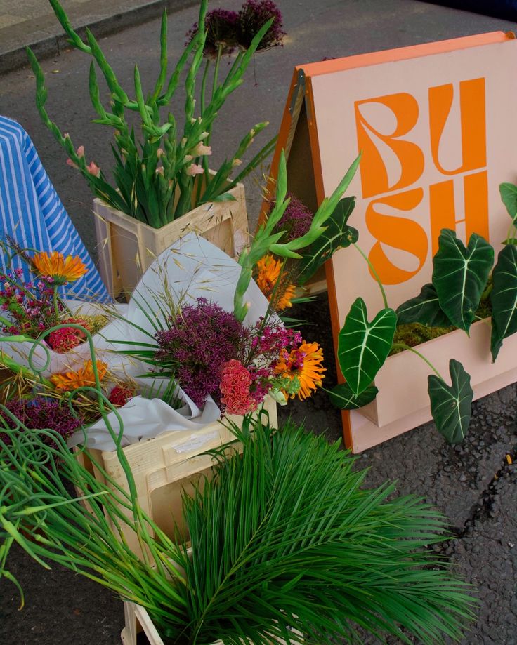 various flowers and plants are on display outside