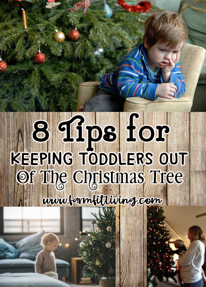 a collage of photos with the words 8 tips for keeping toddlers out of the christmas tree