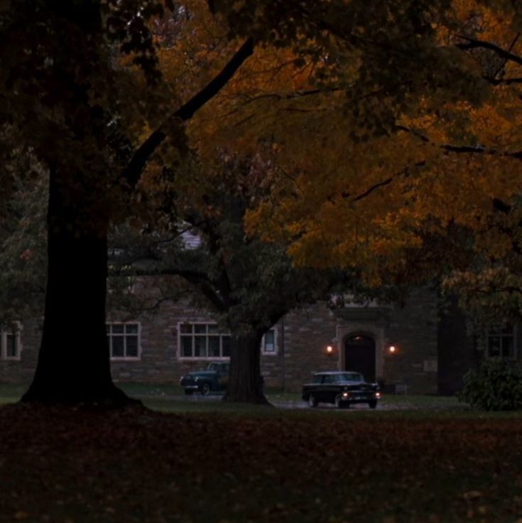 an old car parked in front of a building at night with fall leaves on the ground