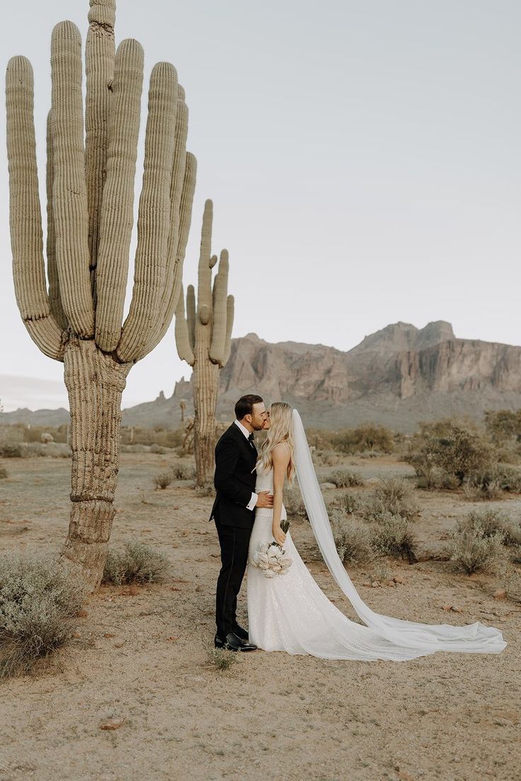 a bride and groom standing in front of a large cactus