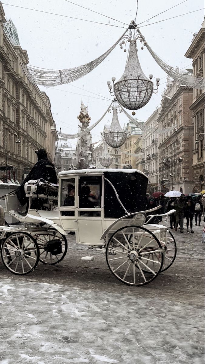 a horse drawn carriage on a snowy street