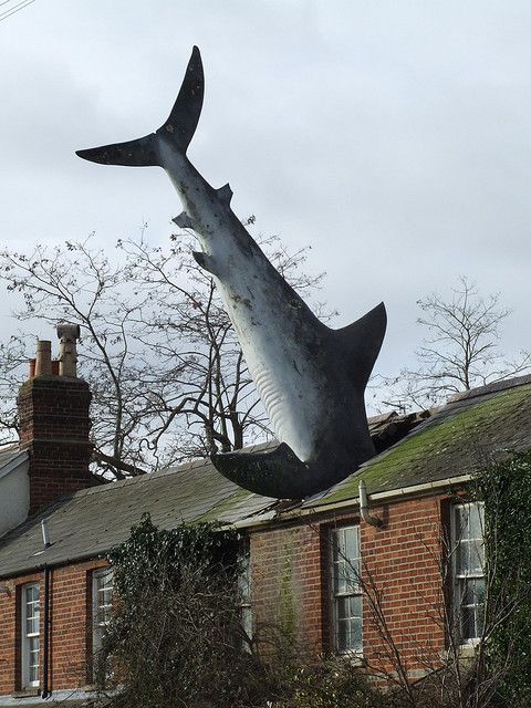 a large shark statue on the roof of a house in front of a brick building