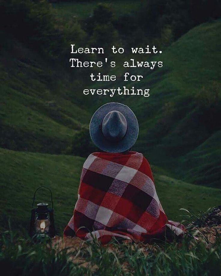 a person sitting in the grass with a plaid blanket on their back and a quote written above it that says, learn to wait there's always time for everything