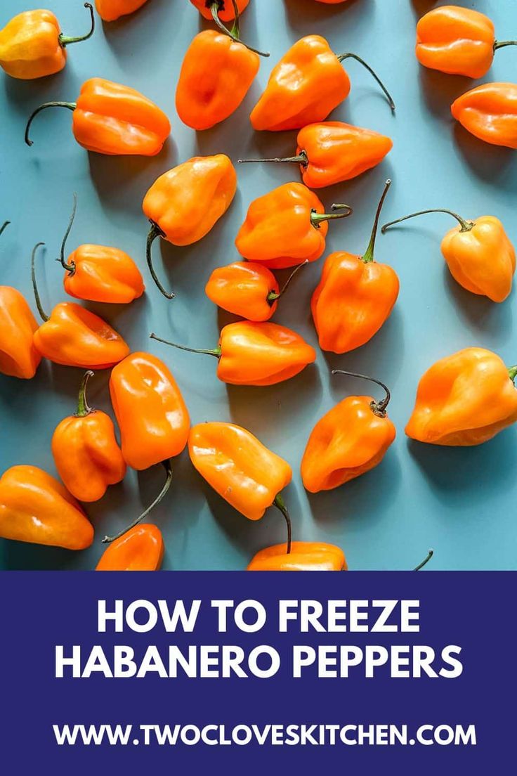 how to freeze habanero peppers in the microwave and on the stove for easy cooking