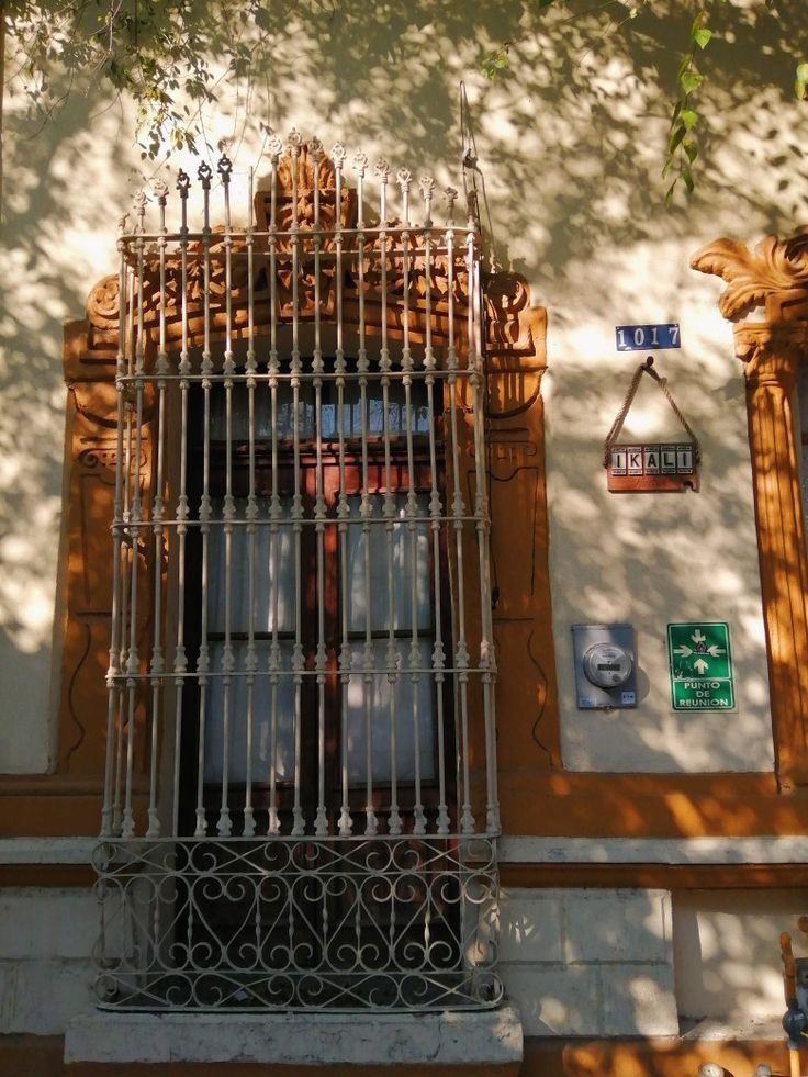 Puerta, café, plantas, sombra, barrio antiguo House Styles