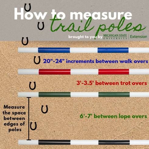 an image of how to measure trail poles on the ground with measurements for each pole