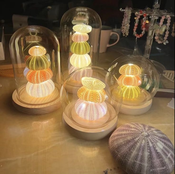 several sea urchins are under glass domes on a table with seashells