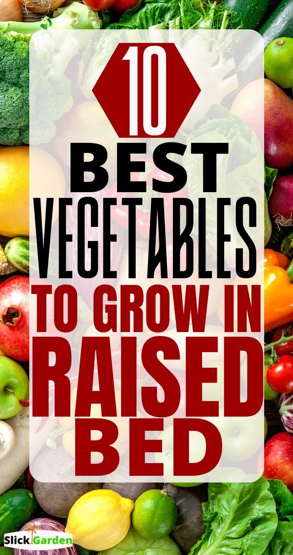 the words 10 best vegetables to grow in raised bed on top of a pile of fruits and vegetables