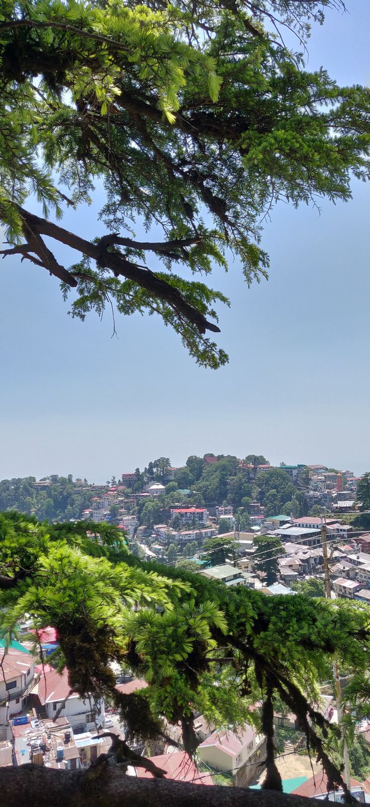 a view of the city from behind some trees