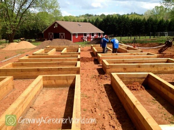 two men are working in the yard with raised beds