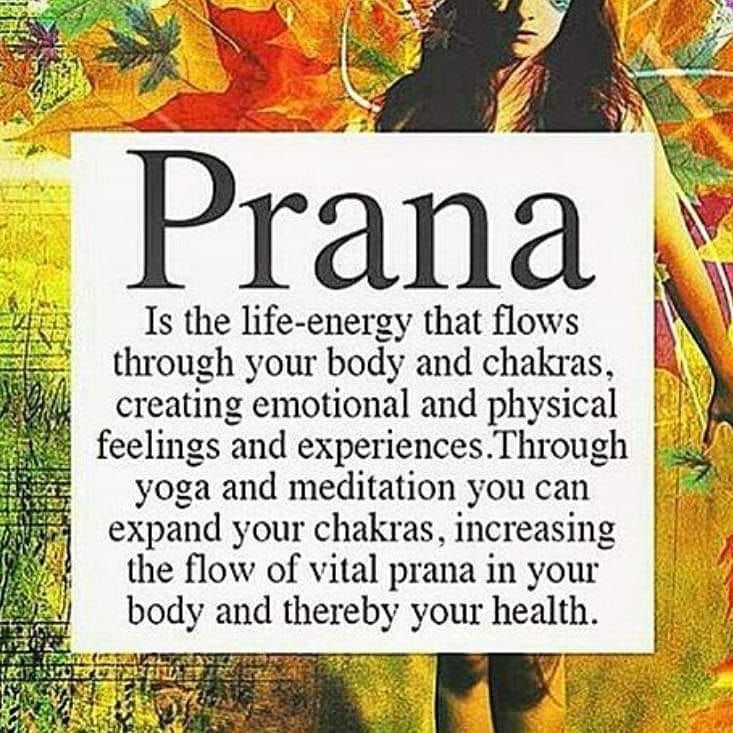 an advertisement for prana with a woman holding a sign in front of her face