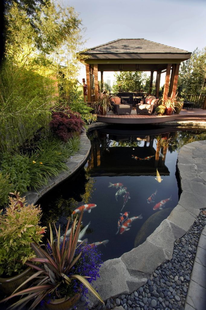 a gazebo sitting next to a pond filled with koi fish in a garden