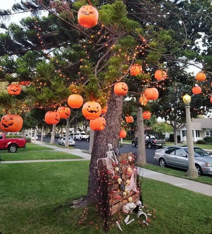 a tree with pumpkins hanging from it's branches