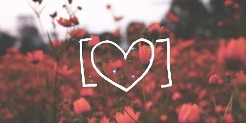 the word i love is written in front of a field of flowers with a heart drawn on it