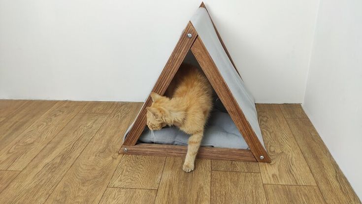 an orange cat laying on top of a wooden floor next to a white wall in a room