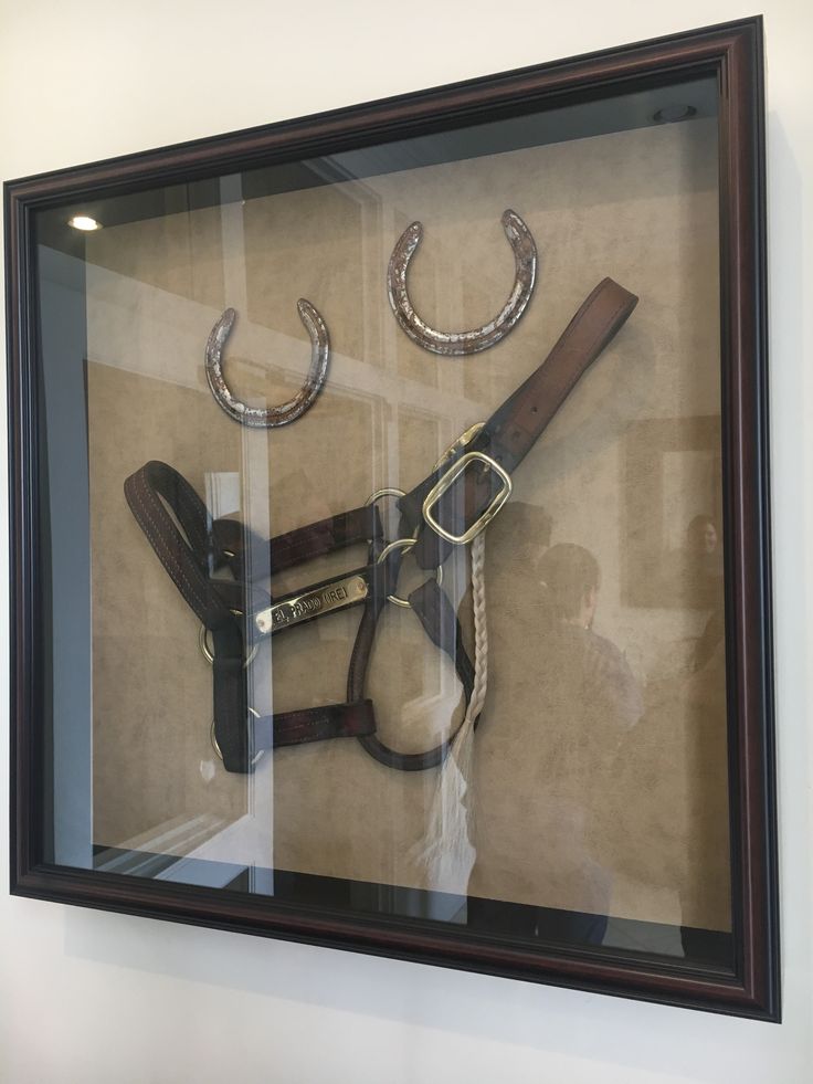 a display case with two pairs of horse bridles in the middle and one pair of horseshoes on each side