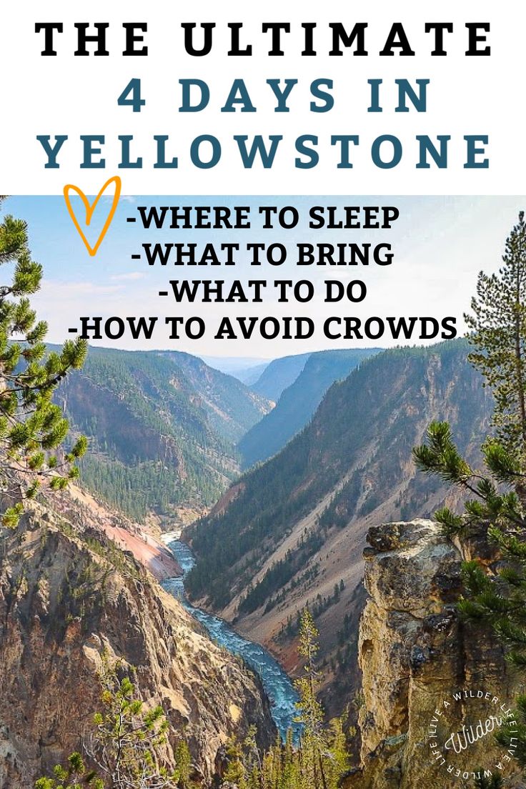 the ultimate 4 days in yellowstone where to sleep what to do how to avoid crowds