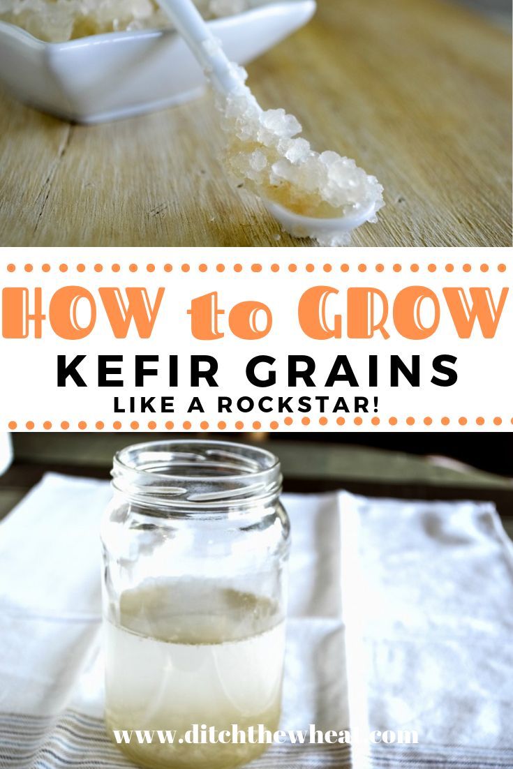 how to grow kefir grains like a rockstark