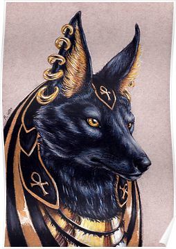 a drawing of a black dog wearing an egyptian headdress with gold trimmings