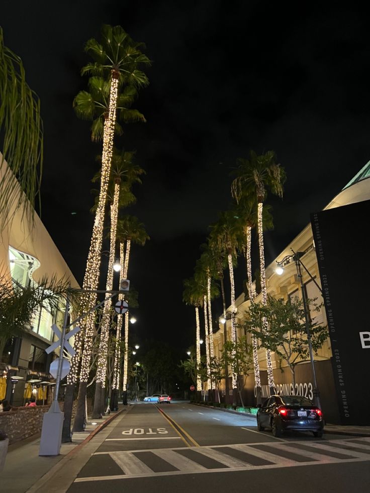 palm trees are lit up at night on the side of a street with cars driving down it