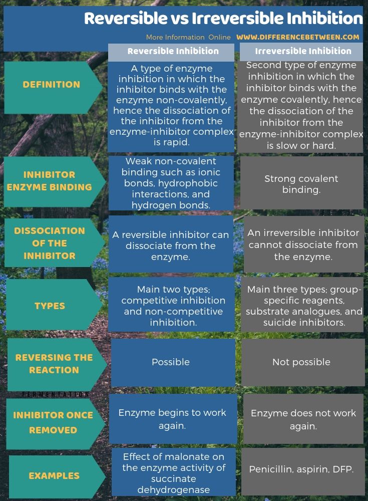 the different types of plants that are in this infographia page, which includes information about