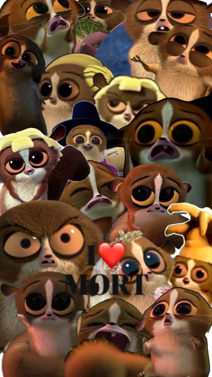 an image of many cartoon animals with different facial expressions on their faces, including the head and shoulders