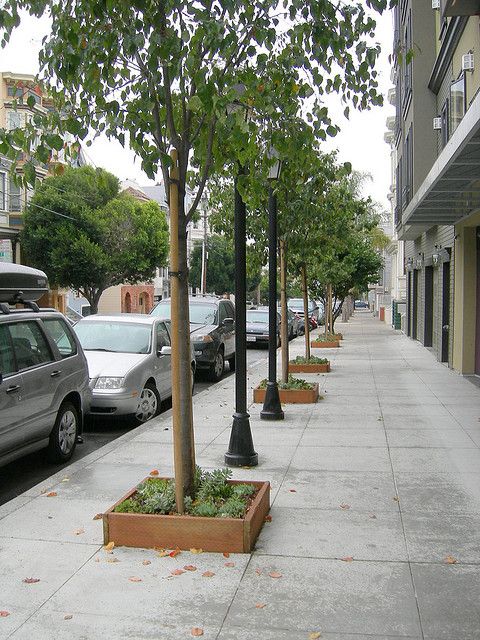 a street with cars parked on the side of it and trees in planters along the sidewalk