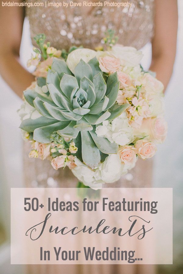 a bride holding a bouquet with succulents on it and the words 50 ideas for