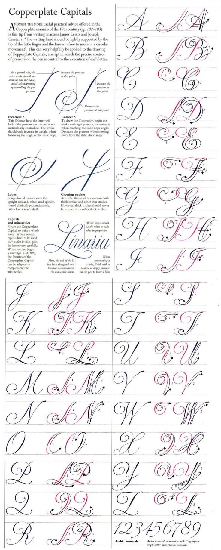 some type of calligraphy that is in different styles and font types, including the upper one