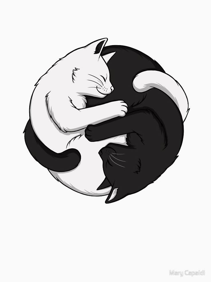 Yin Yang Cat Yin And Yang Cats Tattoo, Cats Ying Yang Tattoo, Cat Yin And Yang Tattoo, Cat Ying And Yang, Cats Ying Yang, Cat Yin And Yang, Yin And Yang Cat Tattoo, Cat Yin Yang Tattoo, Cute Drawings Cats