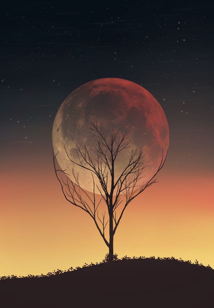 a tree with no leaves in front of a full moon