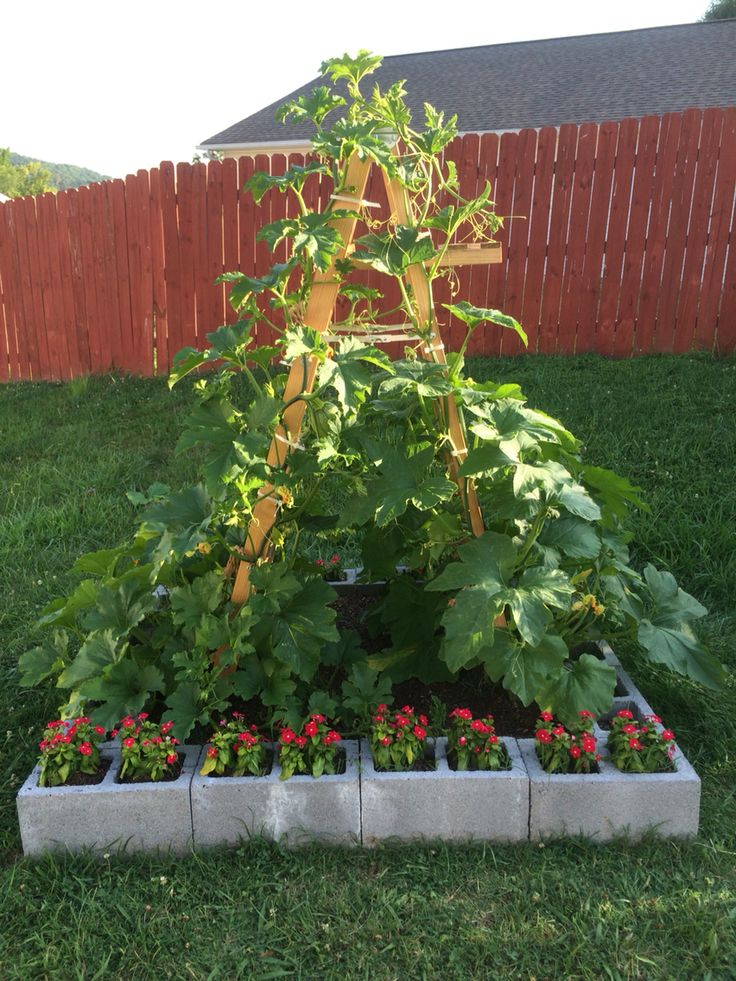 the garden is ready to be planted and put in the planter box for later