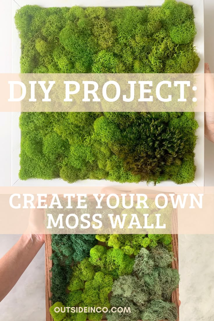 moss wall with text that reads diy project create your own moss wall