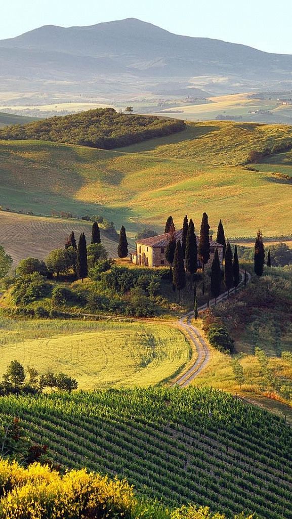 an italian countryside with trees and hills in the background