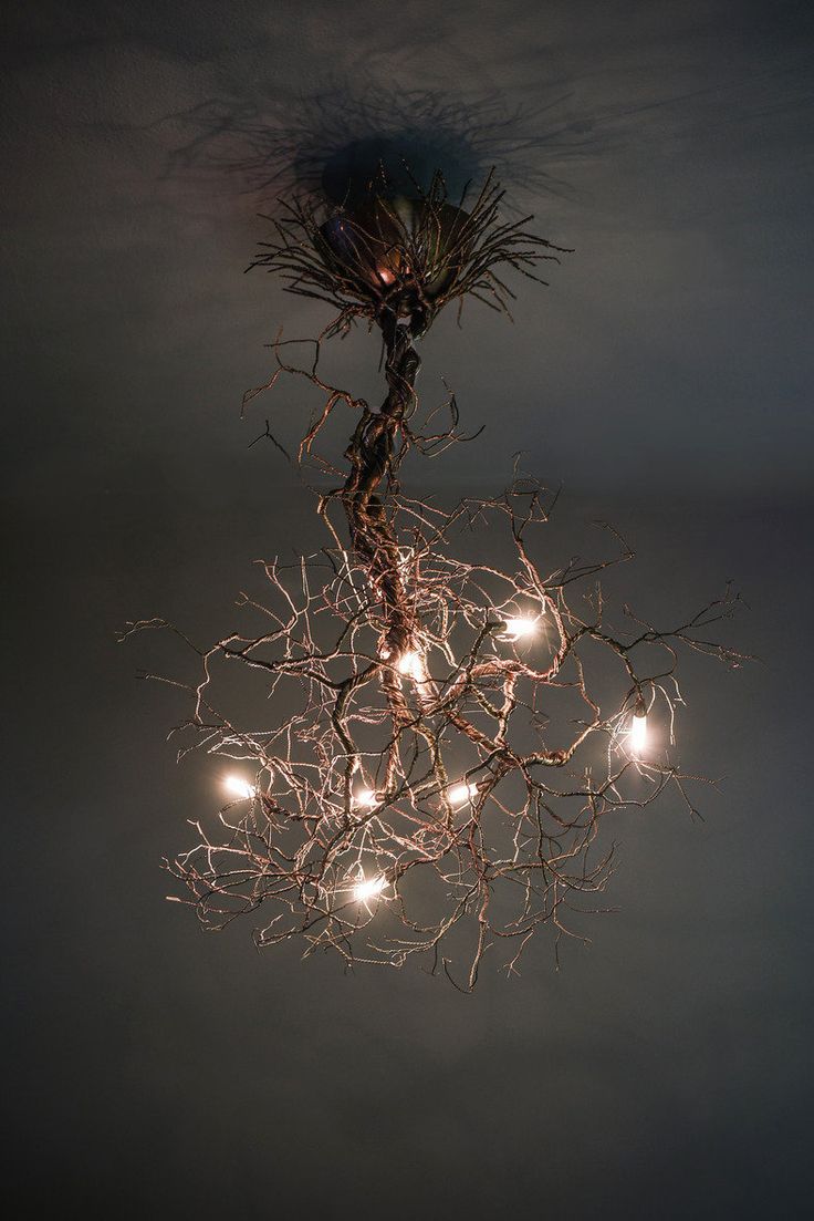 a tree with lights hanging from it's branches