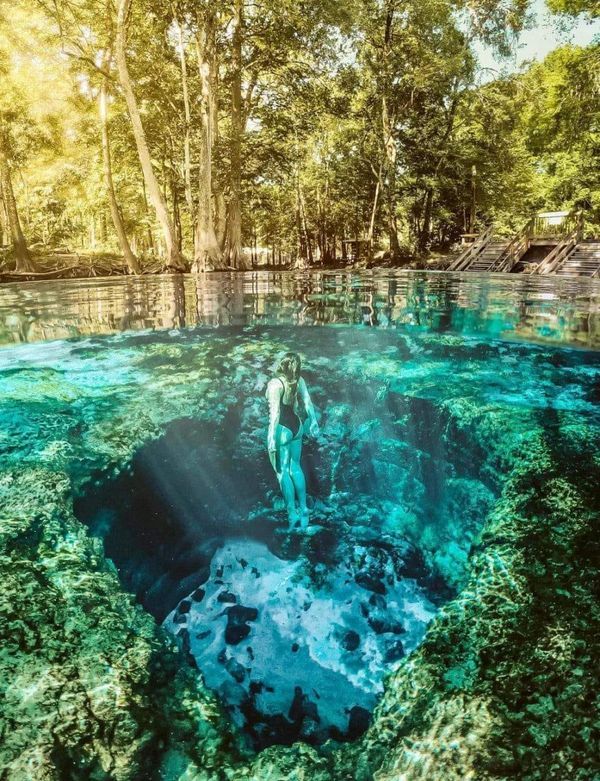 a man swimming in the middle of a river surrounded by green plants and water lilies