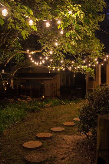 an outdoor path with lights strung over it and stepping stones on the ground in front