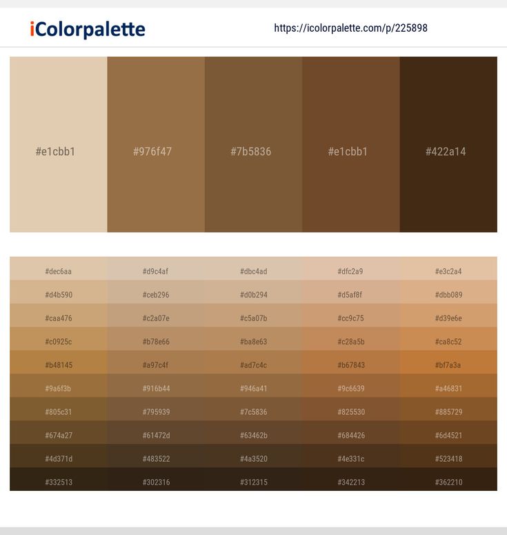 the color palette is shown in shades of brown, beige and light brown with different colors